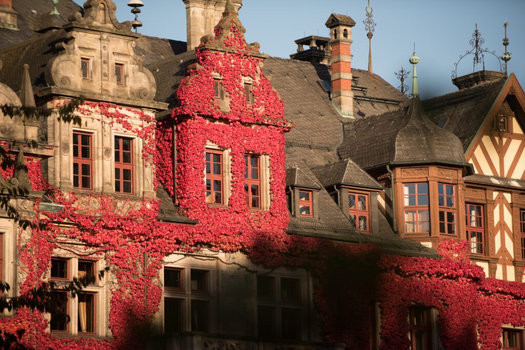 Sonnige Vorderseite vom Schloss Ramholz