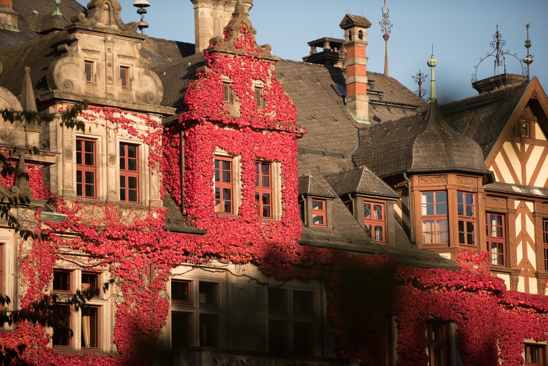 Sonnige Vorderseite vom Schloss Ramholz